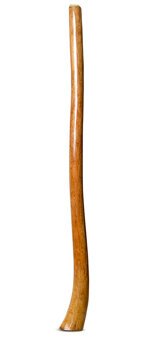 Gloss Finish Flared Didgeridoo (TW1208)
